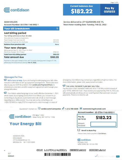 download download USA NEW YORK CONEDISON utility bill Word and PDF template, version 2 PDF template PDF template